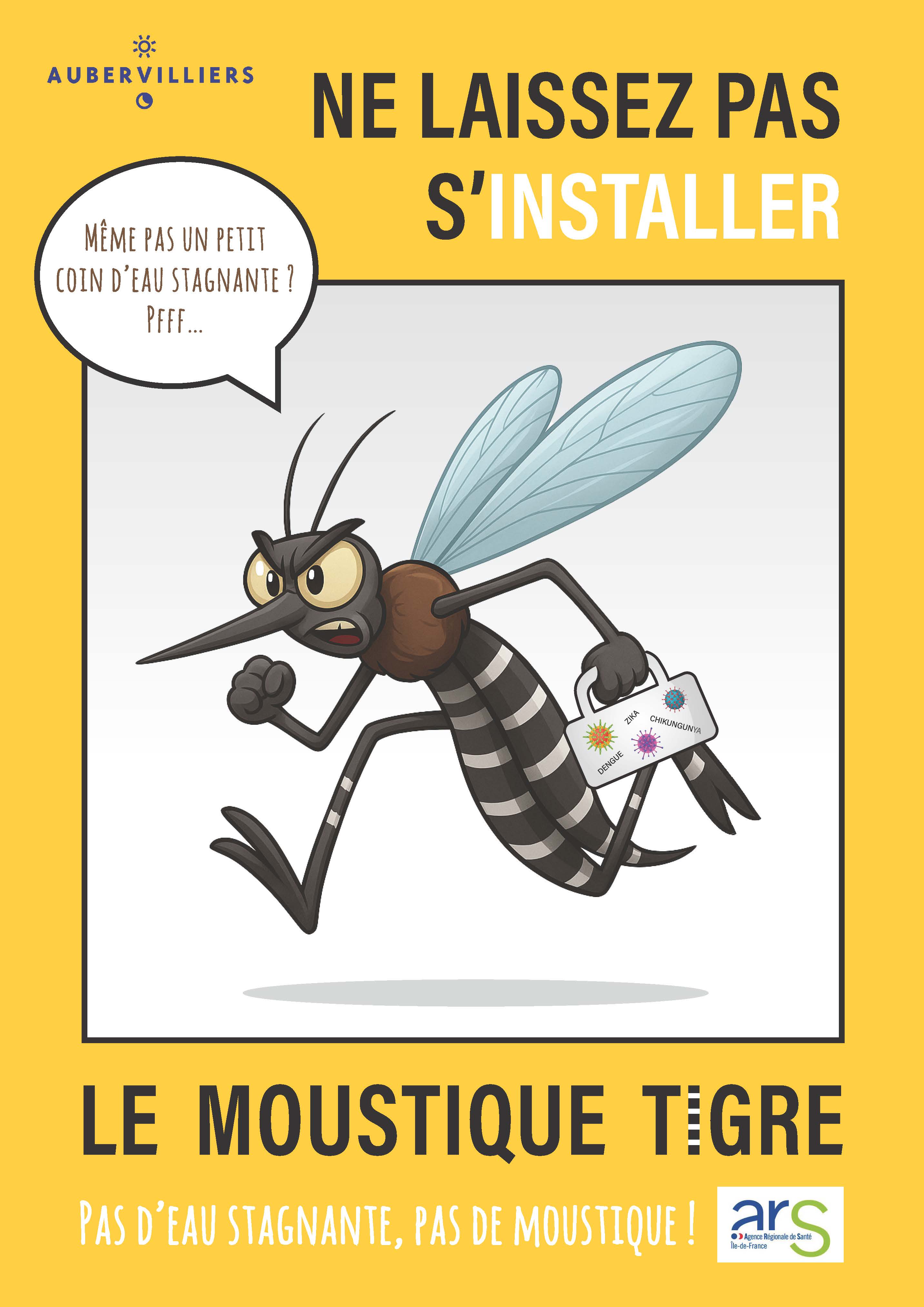 Moustique tigre : adoptons les bons réflexes 